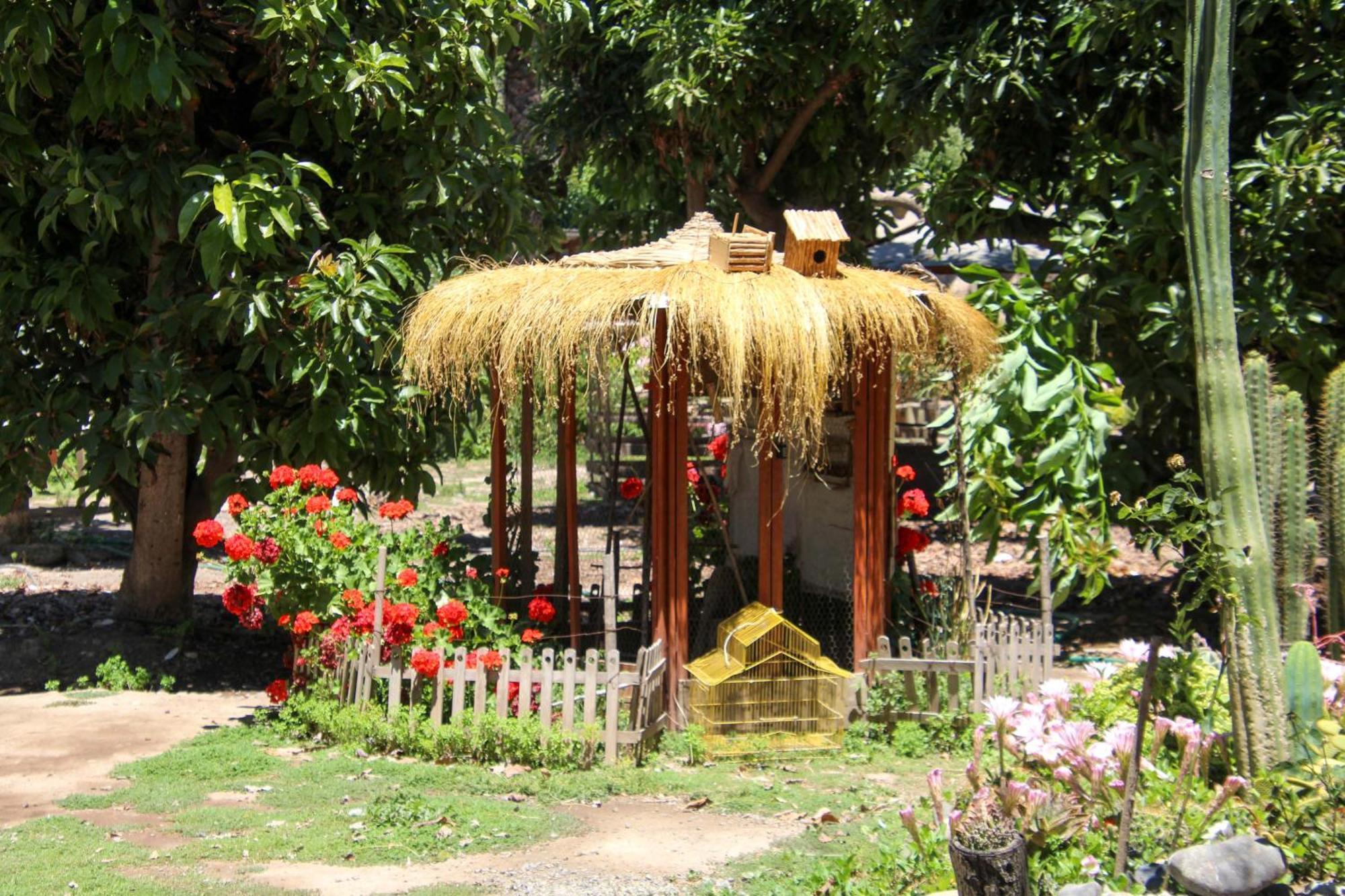 Alojamiento Rural Casa Quinta Peumayen 伊斯拉德迈波 外观 照片