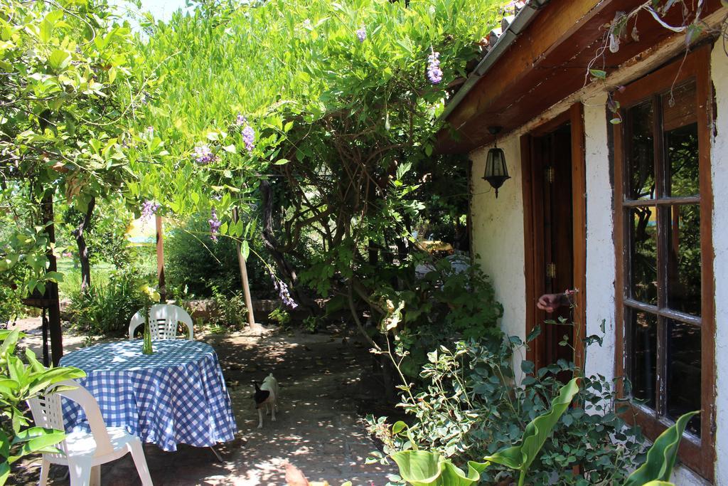 Alojamiento Rural Casa Quinta Peumayen 伊斯拉德迈波 外观 照片
